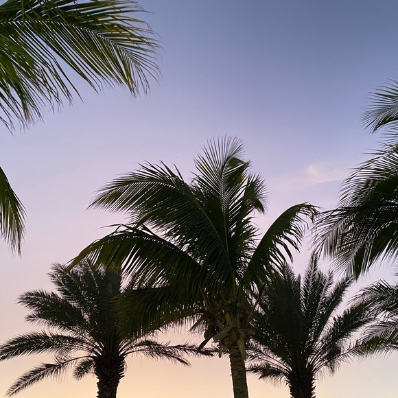 Meet your Posher, Melanie - Picture 1 of 1